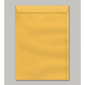 ENVELOPE SACO OURO 265 X 360MM VIA BRASIL